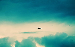 black airplane, aircraft, sky, vehicle