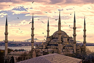 The Blue Mosque, city, building HD wallpaper