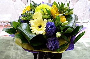 yellow-purple-and-green petaled flowers with green leaves on purple and yellow papers