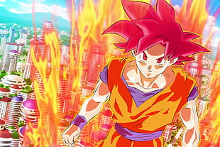Dragon Ball Super Saiyan God Goku digital wallpaper