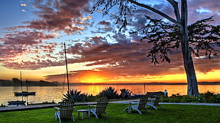 HDR photography of garden near body of water under the sunset