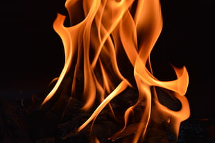 close-up photography of fire
