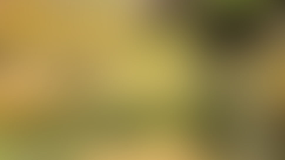 Background,  Stains,  Surface,  Abstraction HD wallpaper