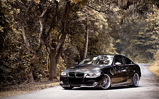 black sedan, car, BMW, road, trees