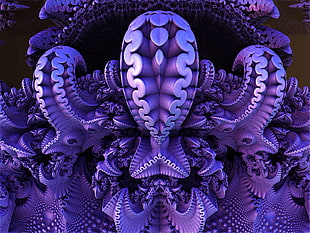 purple octopus illustration, Sea sponge, Surface, Patterns