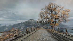gray metal fence, The Vanishing of Ethan Carter, video games, bridge, landscape