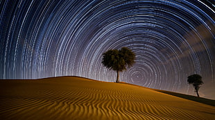 green leafed tree and brown sand, desert, night, star trails, Dubai HD wallpaper