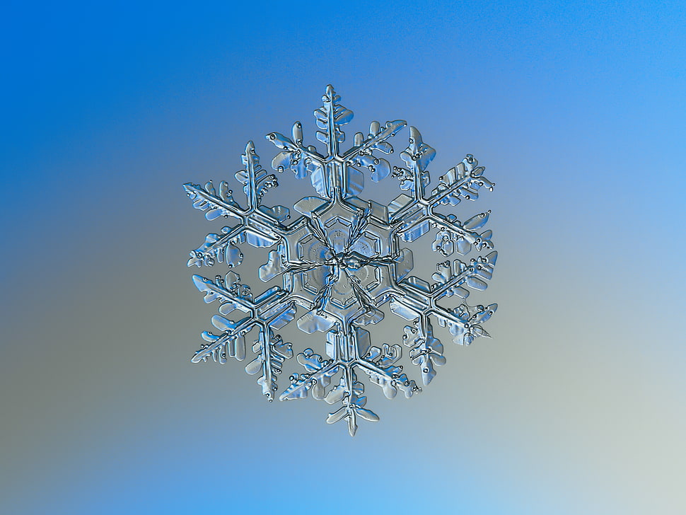 selective photo of snowflakes HD wallpaper
