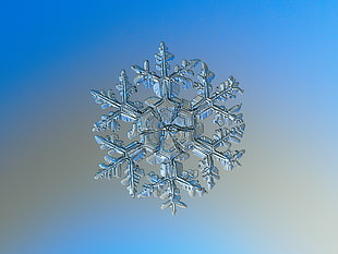 selective photo of snowflakes HD wallpaper