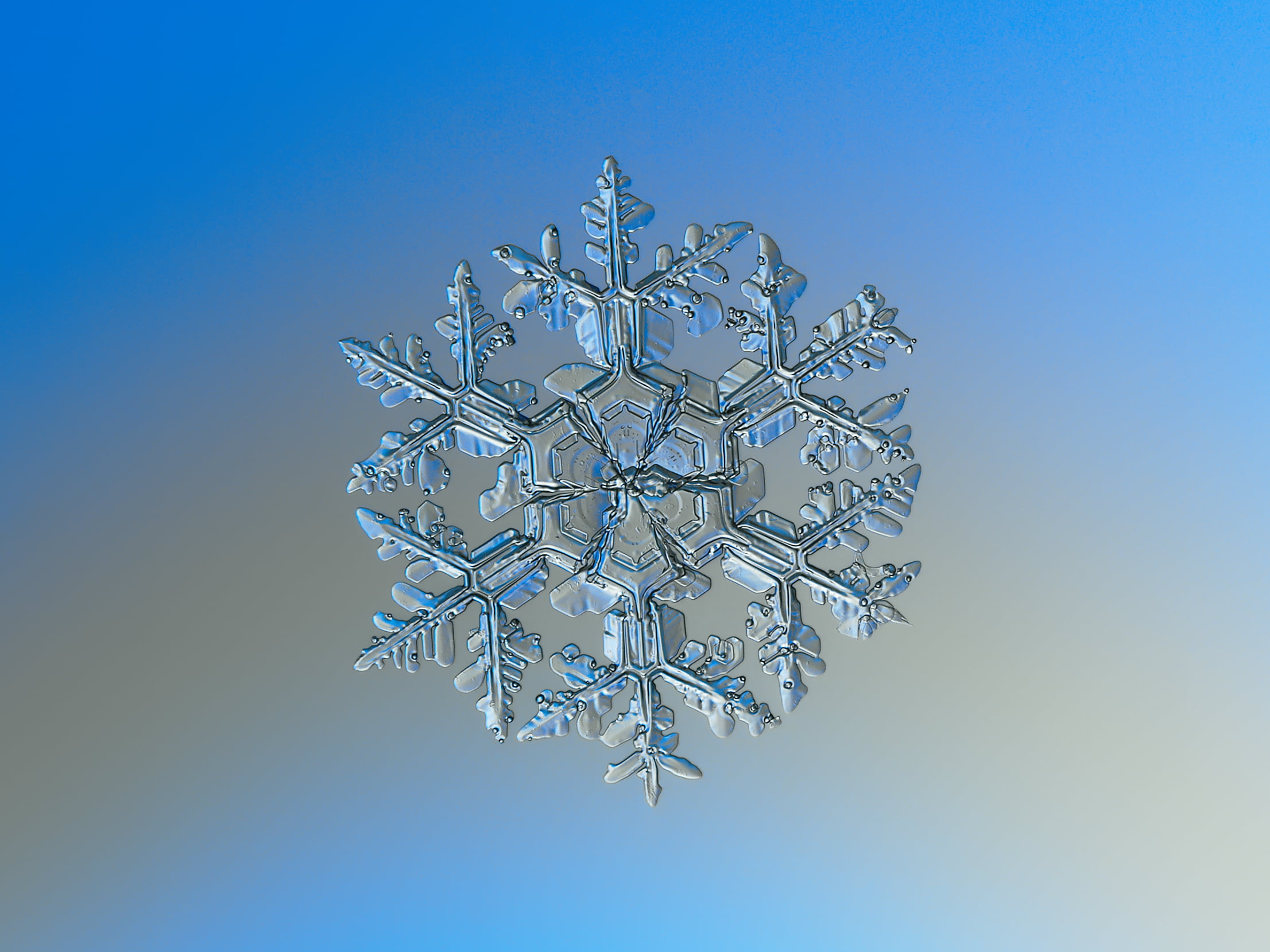 selective photo of snowflakes