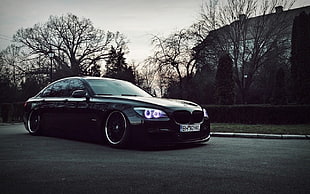 black BMW sedan, BMW 7 Series, car
