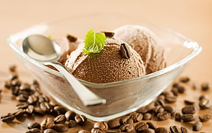 coffee ice cream in clear glass bowl