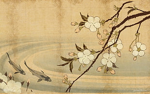 fish pond and white flowers Japanese art HD wallpaper