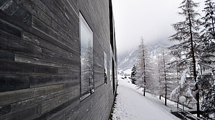 brown wooden house, cabin, snow, winter
