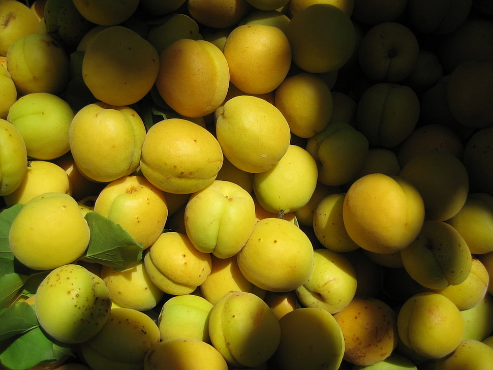 yellow fruit lot HD wallpaper