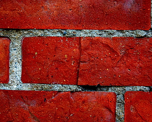 orange and white bricked wall HD wallpaper