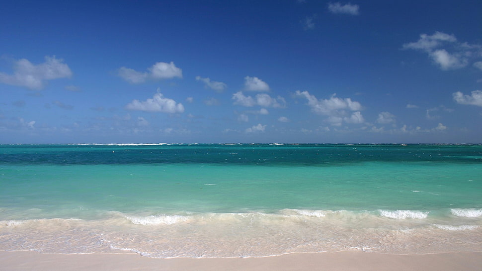 beige shoreline, beach, waves, sea, sky HD wallpaper