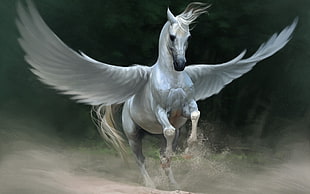 white Pegasus, Pegasus, artwork, fantasy art, horse