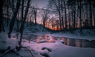 thawed river, nature, dark, snow, water
