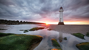 white lighthouse, nature, sea, beach, lighthouse