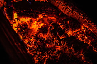 charcoal, Bonfire, Ash, Fire
