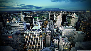 white and black concrete high-rise building, architecture, cityscape, city, New York City