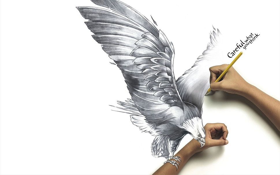 3D eagle sketch, drawing, artwork, eagle HD wallpaper