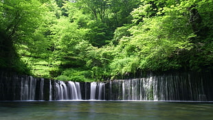 green leafed tree, waterfall, nature, trees HD wallpaper