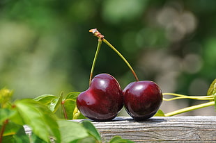 selective focus photo of two cherries on gray surface