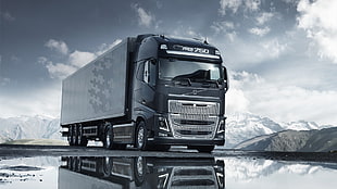 gray and black trailer truck, Volvo FH16, trucks, Volvo, lorry