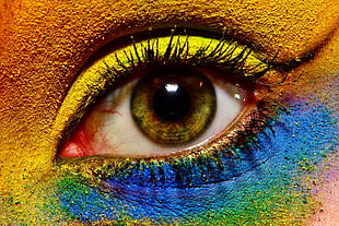 unpaired person's eye with makeup HD wallpaper