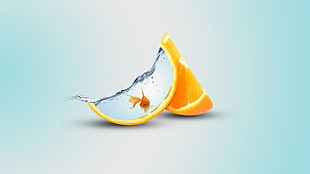 sliced orange with water and goldfish