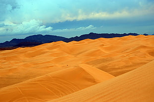 brown desert during daytime HD wallpaper