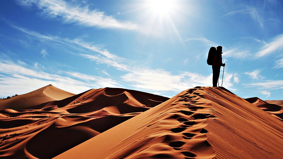 silhouette of man standing on desert during daytime HD wallpaper