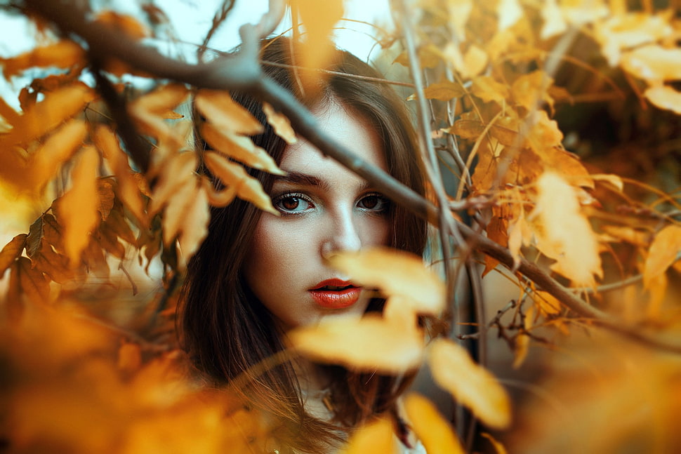 woman surrounded by brown leafed plants HD wallpaper