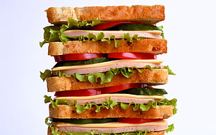 photo of sandwich HD wallpaper