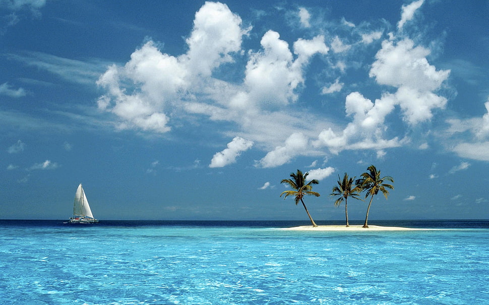 white sail boat, nature, landscape, island, palm trees HD wallpaper