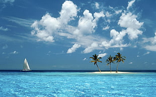 white sail boat, nature, landscape, island, palm trees