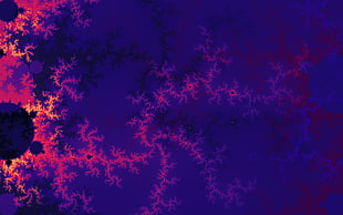 pink and purple wallpaper