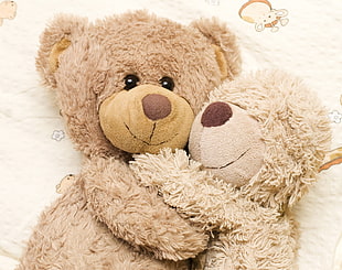 brown and beige bear plush toy hugging