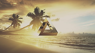 coconut trees, triangle, geometry, beach, palm trees HD wallpaper
