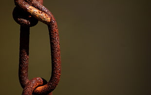 close up photo of brown chain