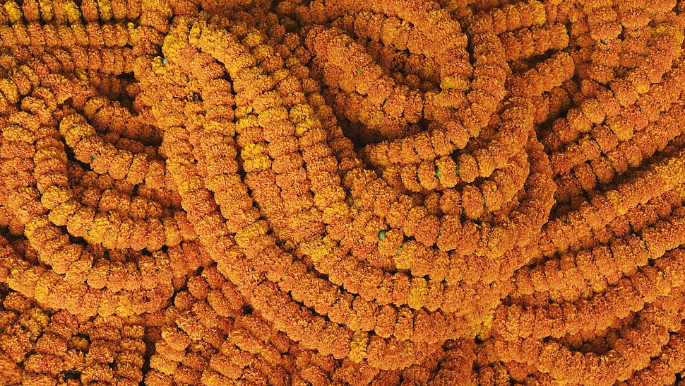 Indian HD wallpaper