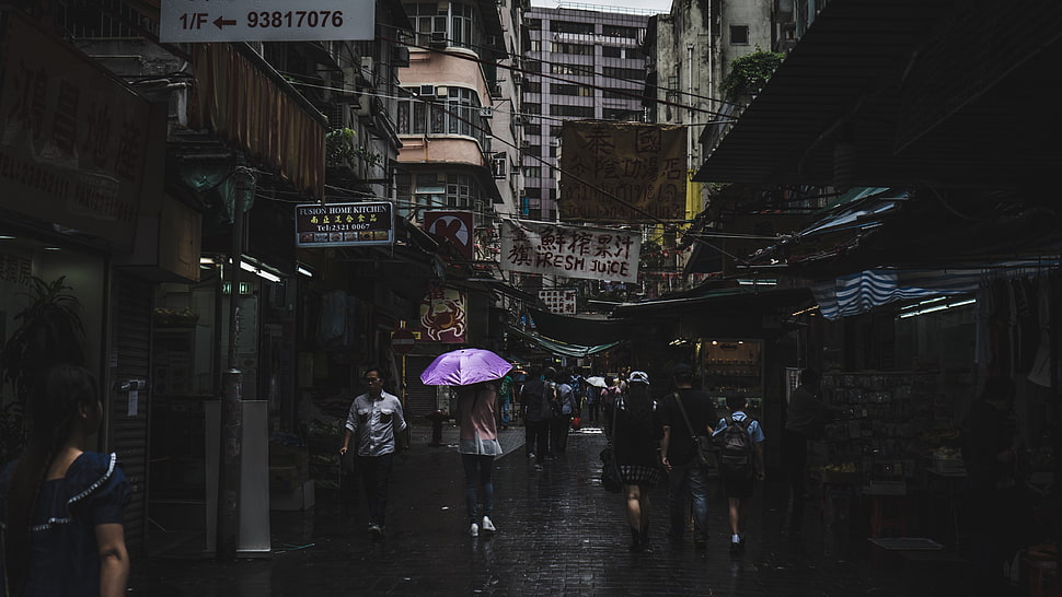 purple umbrella, city, people HD wallpaper