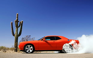 orange Dodge Challenger coupe, car, orange cars, cactus, dust