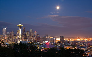 landscape photograph of Space Needle during night time HD wallpaper