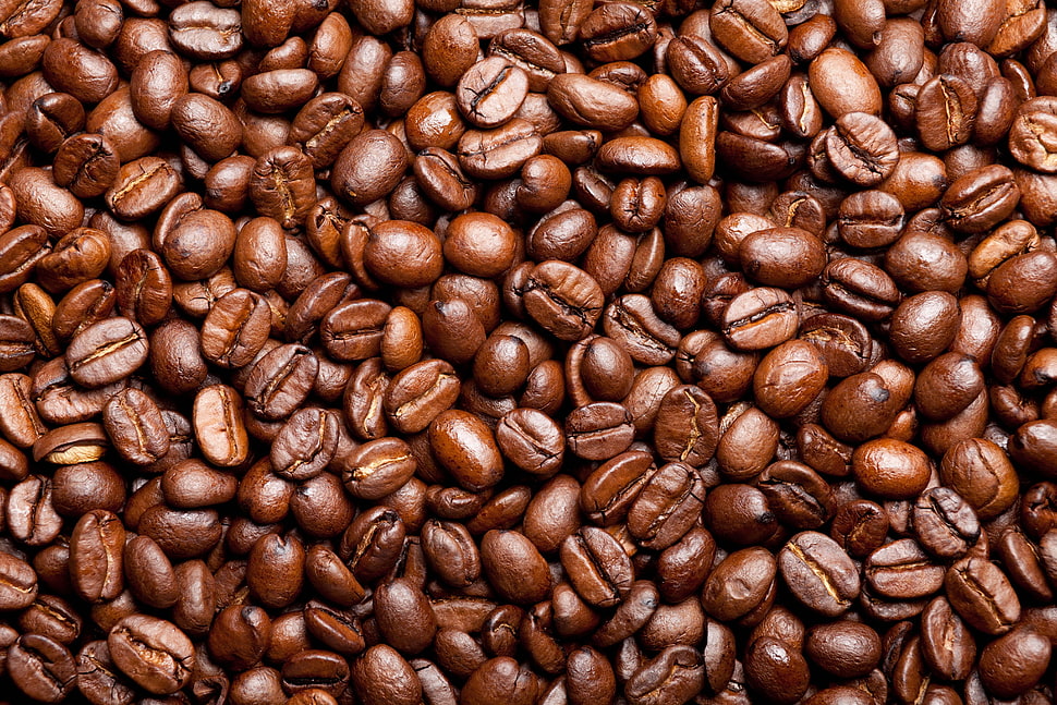 brown coffee beans HD wallpaper