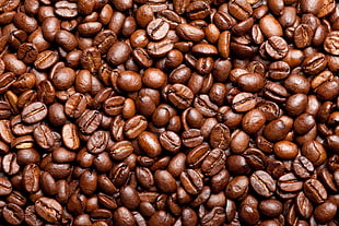 brown coffee beans
