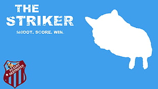 The Striker poster, 4chan, /wg/ HD wallpaper