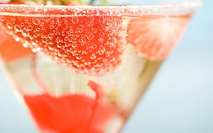 shallow focus photography of strawberry in margarita glass